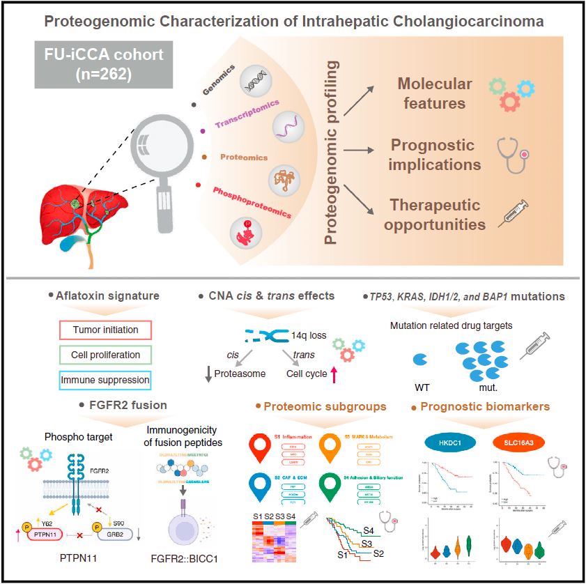 Image for project Intrahepatic Cholangiocarcinoma