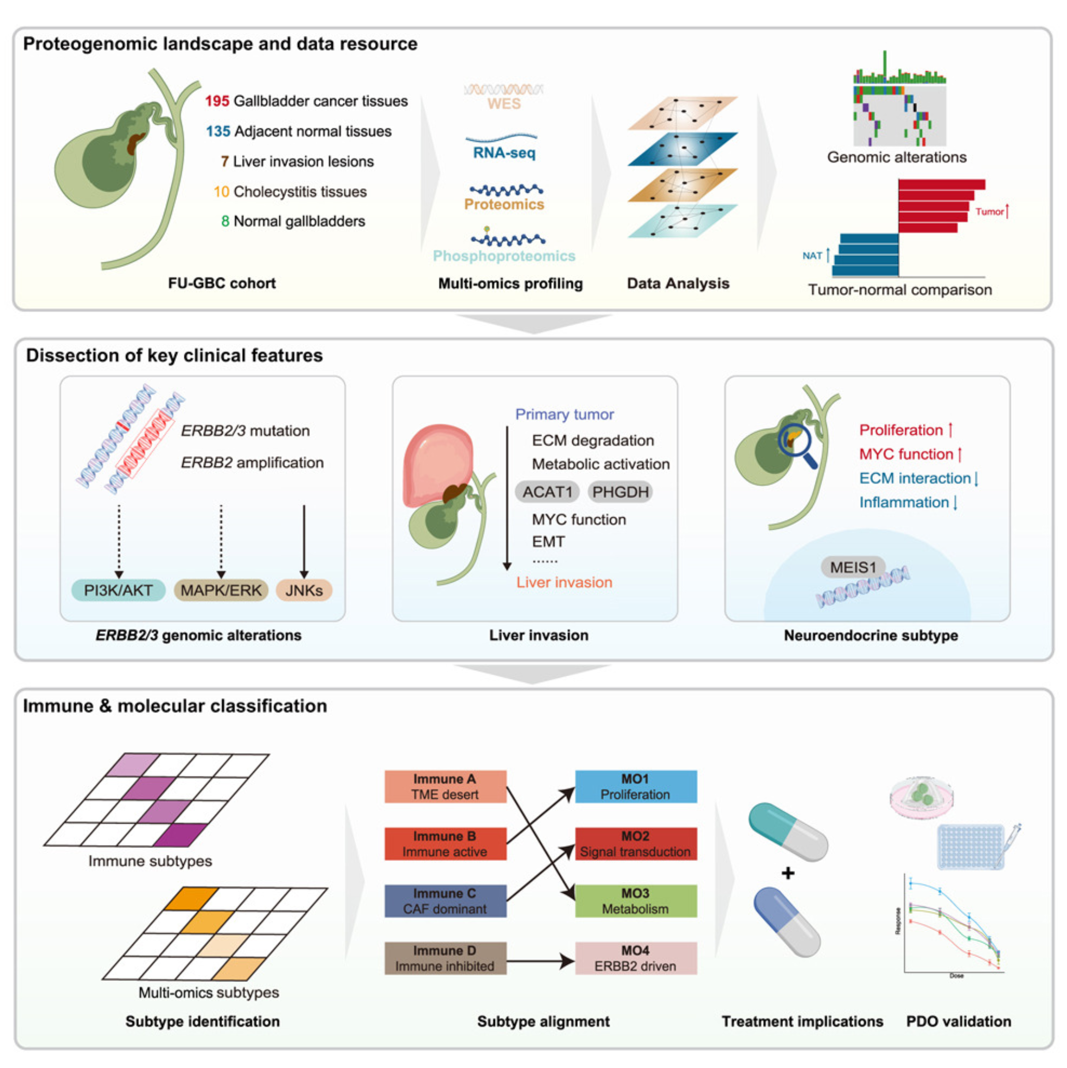 Image for project Gallbladder Cancer