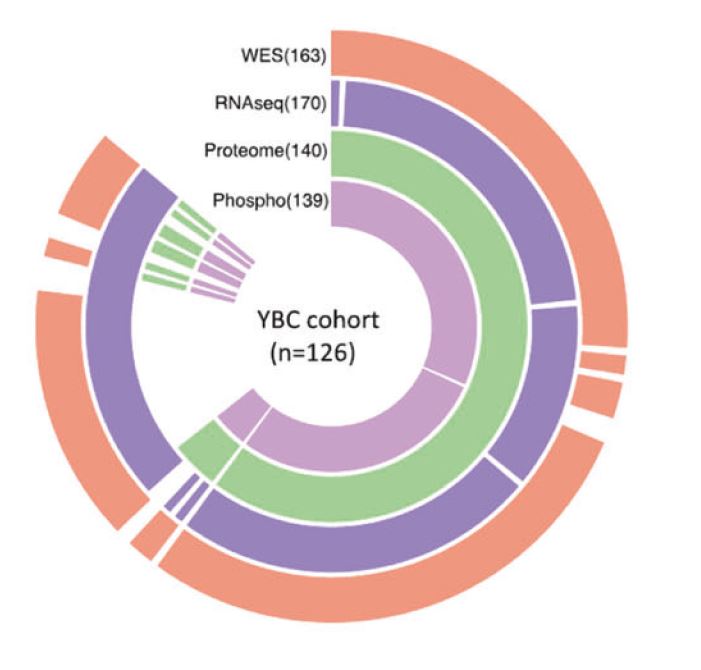 Image for project Early-onset Breast Cancer