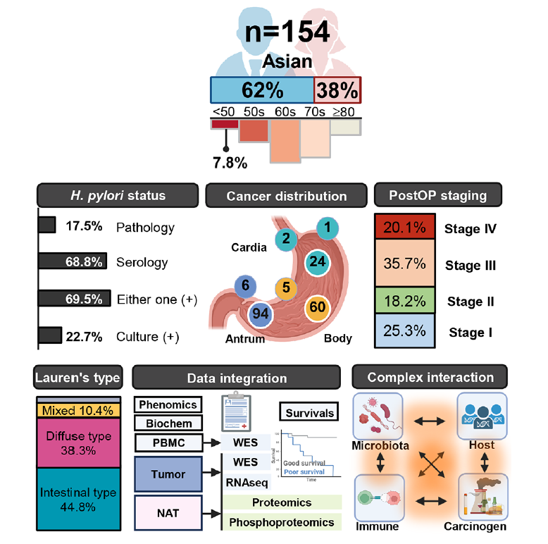 Image for project Gastric Cancer
