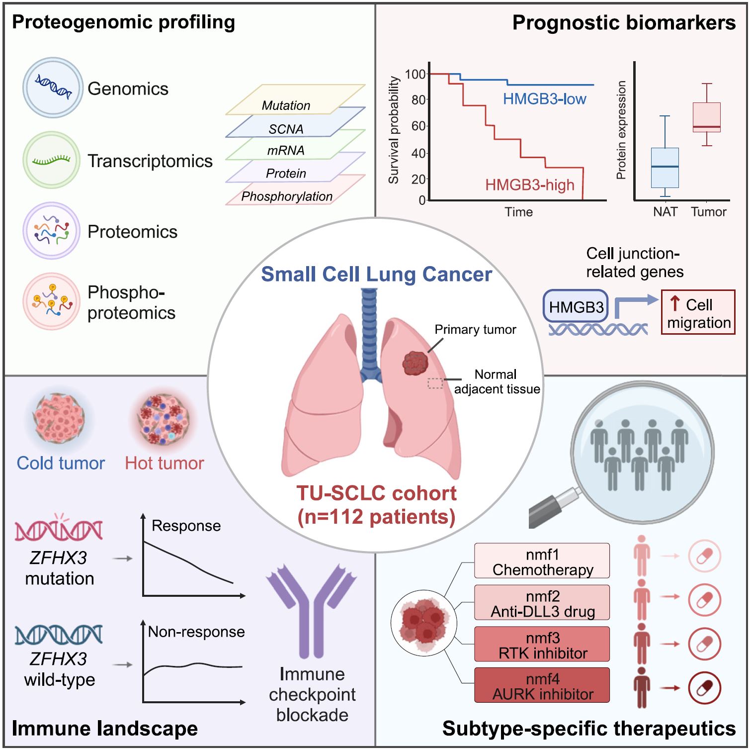 Image for project Small Cell Lung Cancer